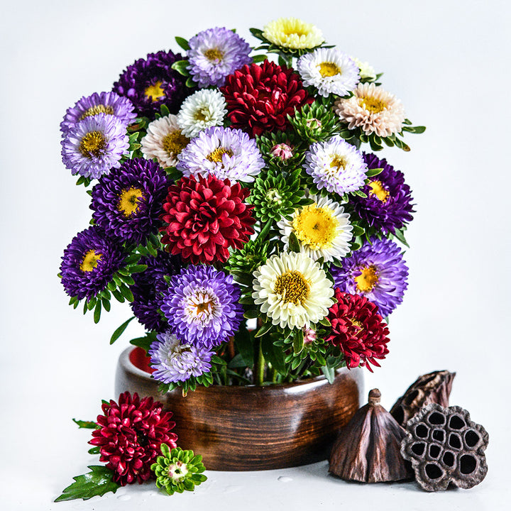 A floral arrangement of Matsumoto Formula Mixed Asters with lotus pods on white.
