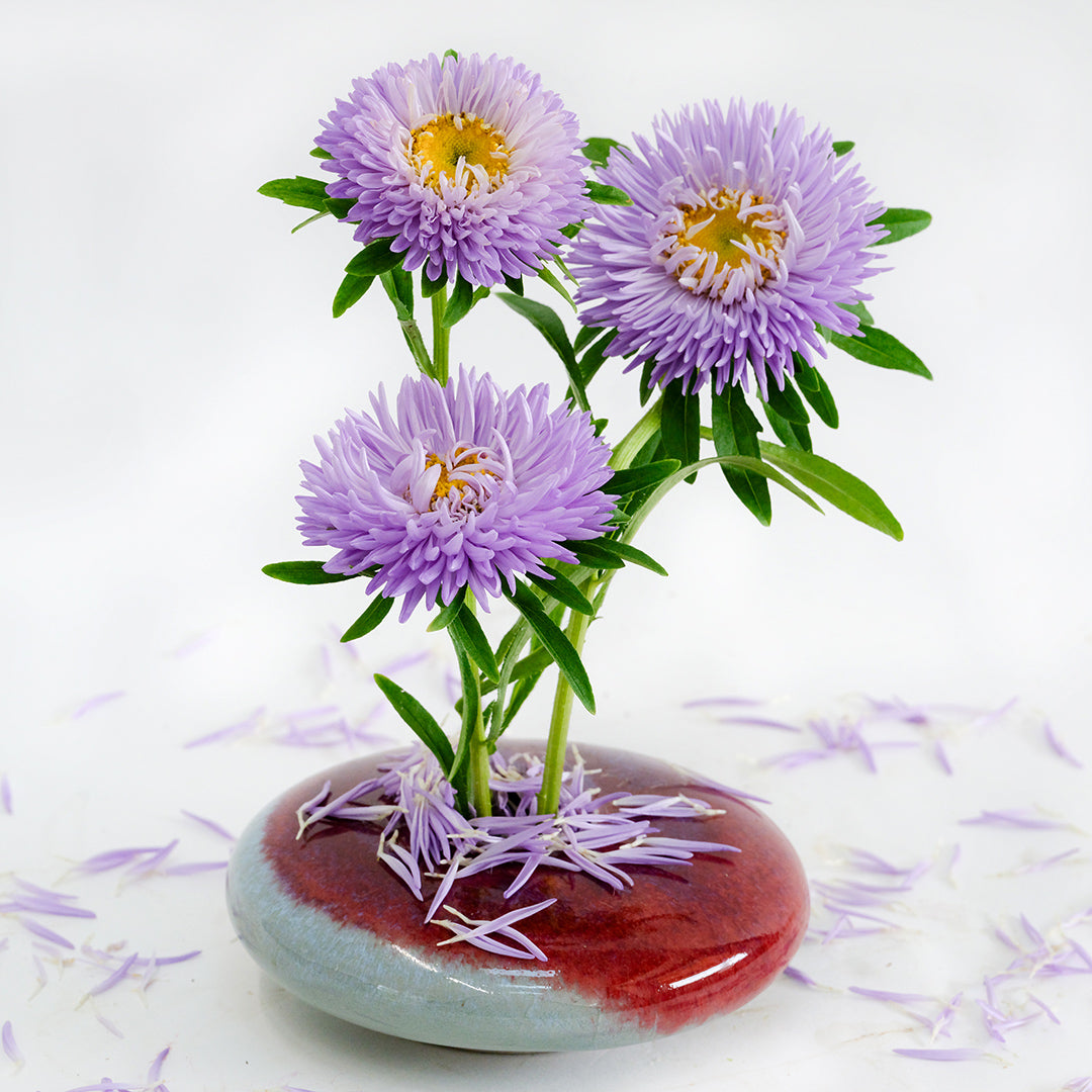 A trio of Gala Lavender Asters in a floral arrangement on a white background.