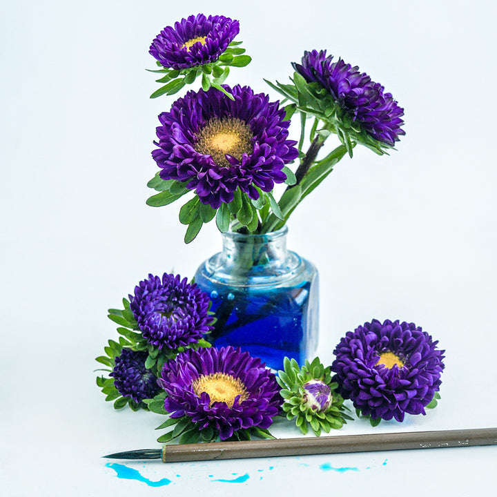 An arrangement of Matsumoto Blue Asters in an inkwell bottle with a Japanese paintbrush on white.