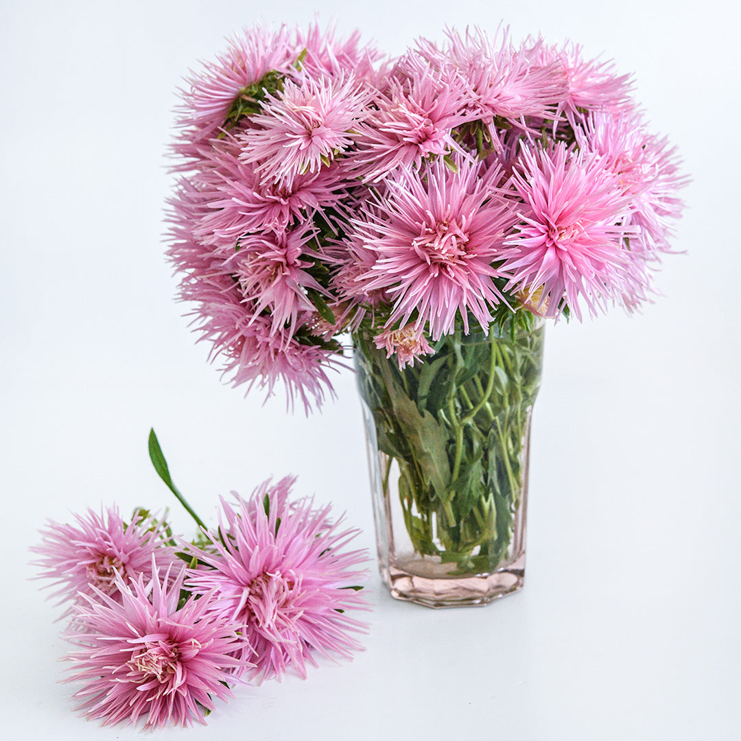Valkyrie Salmon Asters in a light pink vase with a bouquet beside the arrangement.
