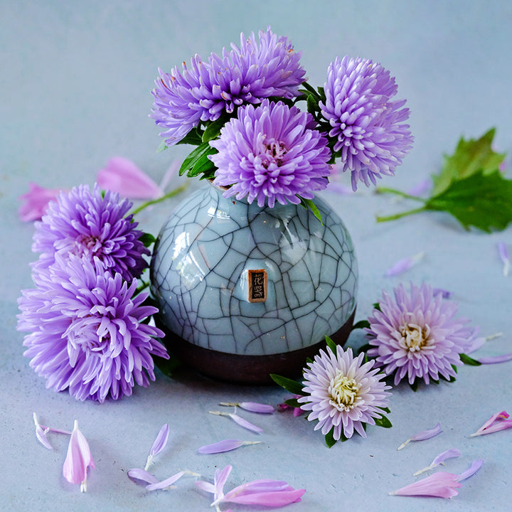 A Japanese vase with Gala Lavender Asters on light blue background.