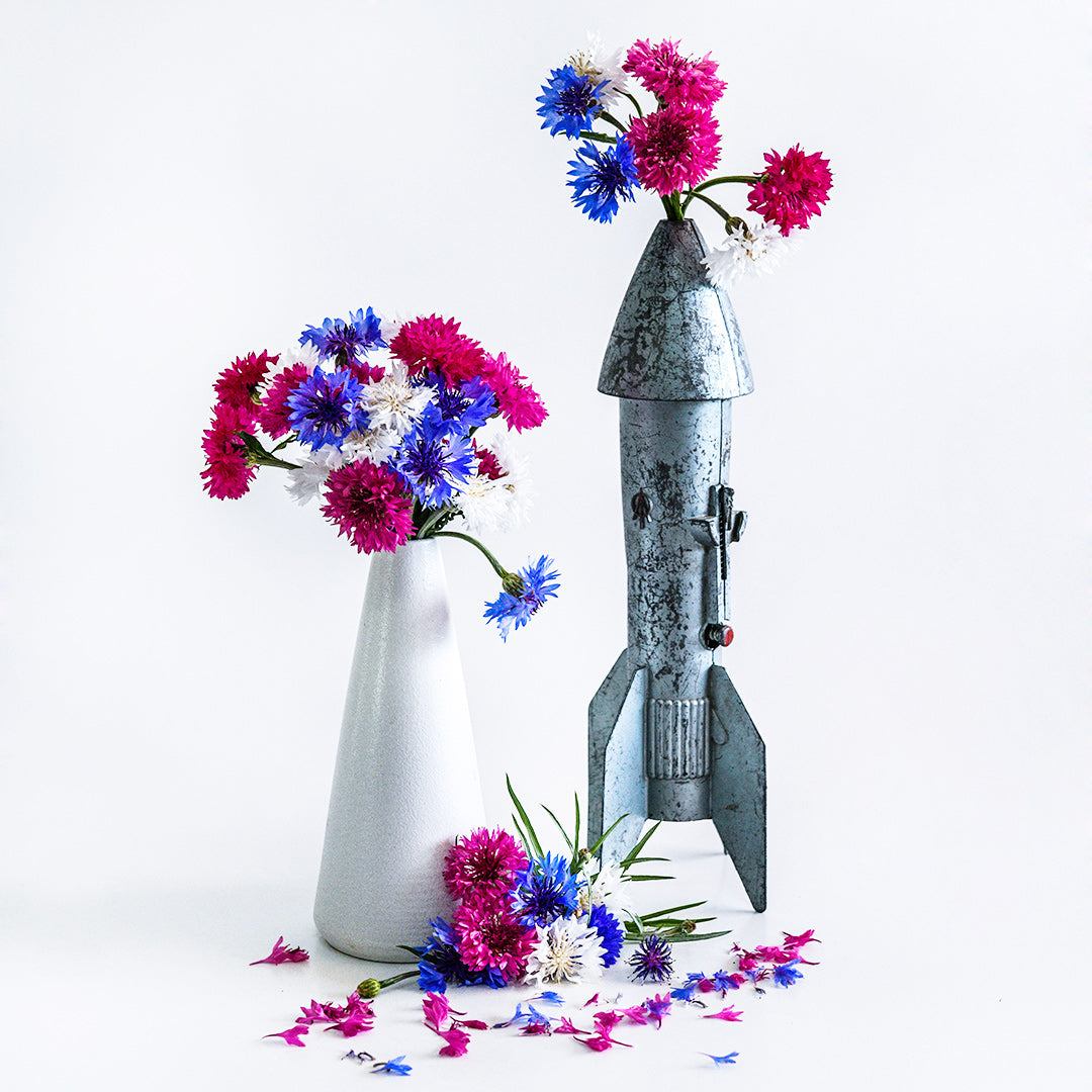 Fireworks Bachelor&