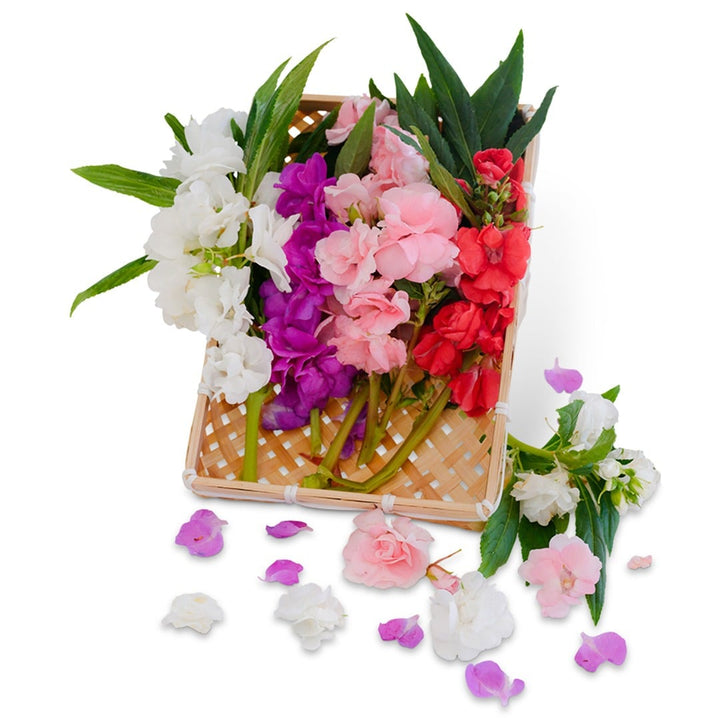 Topknot Mix Balsam arranged in a basket and on a white background.