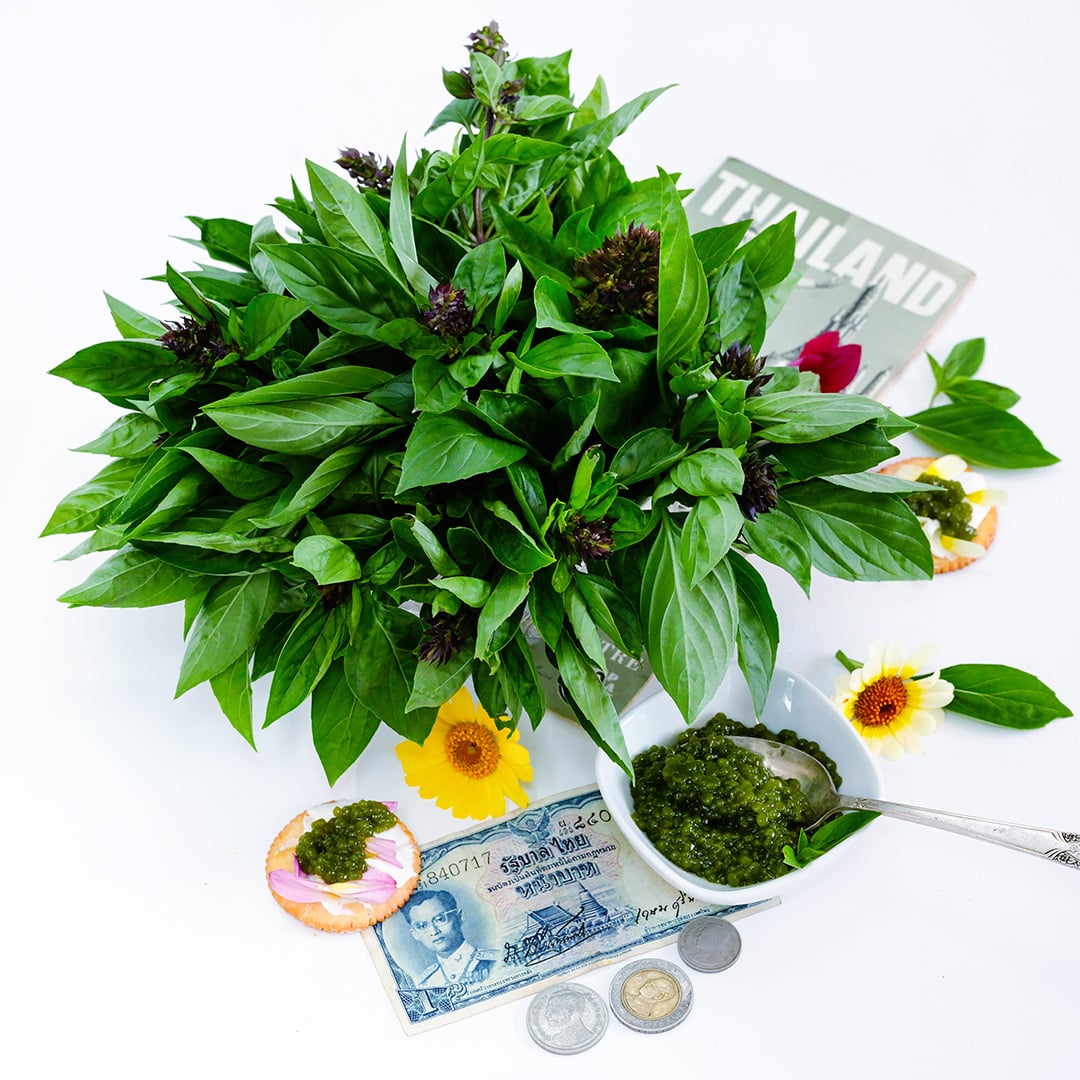 Siam Queen Thai Basil in an arrangement with A Thai magazine and money and basil caviar on a cracker.