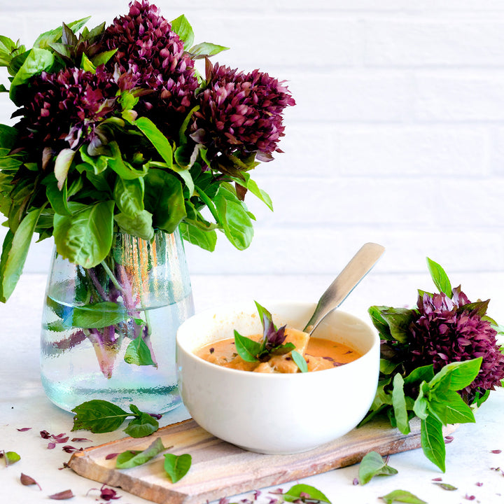A vase full of Cardinal Basil blooms with curry in a bowl on light background.