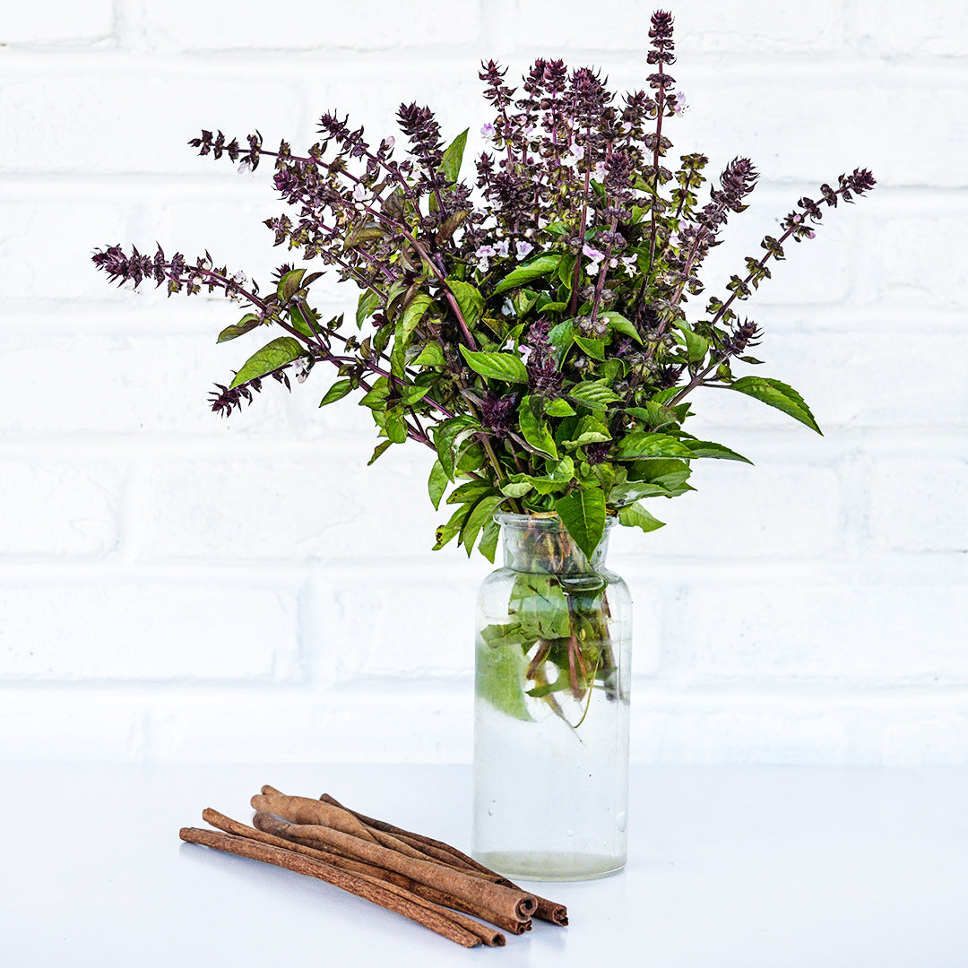 An arrangement of flowering Cinnamon Basil with some cinnamon sticks against a white brick wall.
