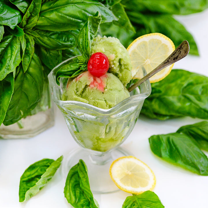 A close-up of Genovese Basil with a glass dish full of basil sorbet.