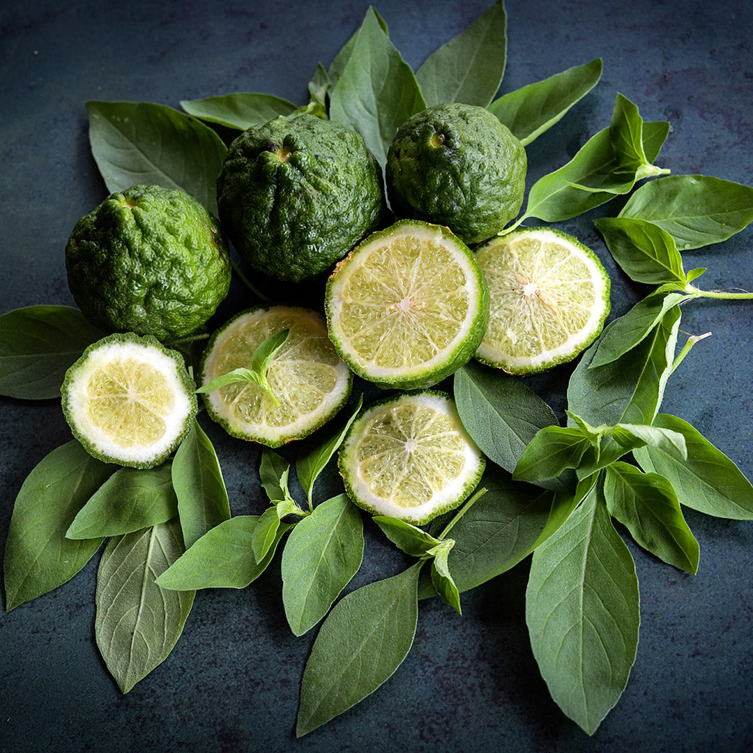 Lime Basil with limes arranged on a jade background.