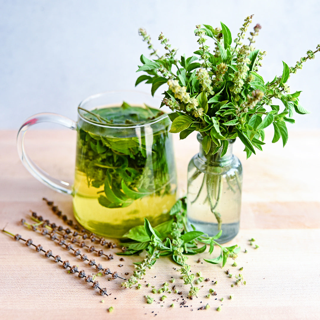 Evivi Ntor Basil in a vase by a pitcher full of tea.