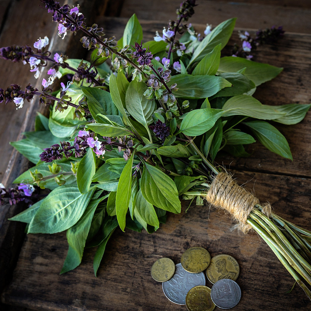 A bouquet of Thai Sweet Basil tied with jute twine with Thai coins on an old wooden background.