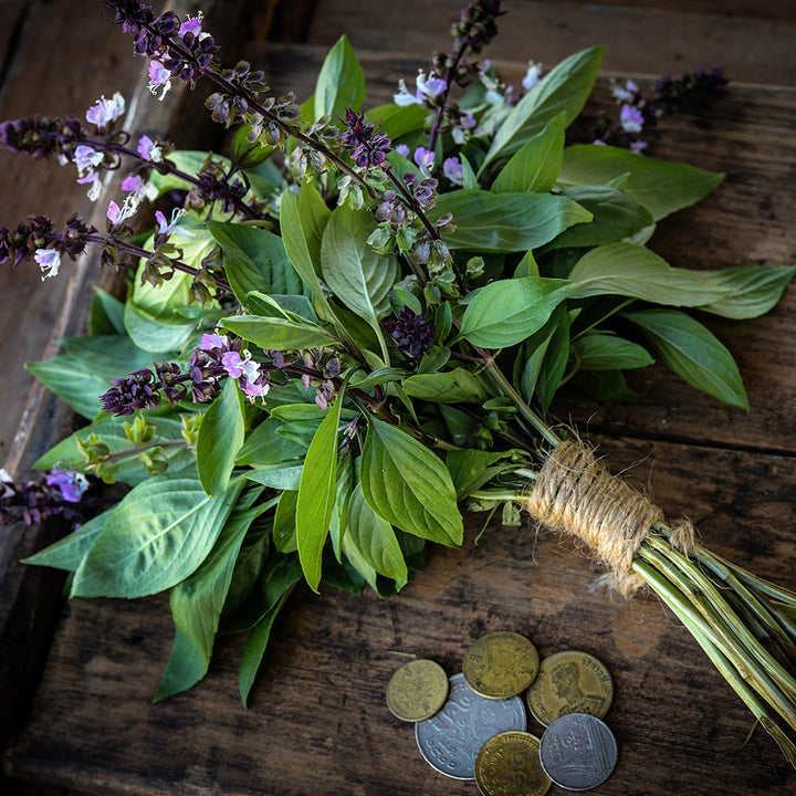 A bouquet of Thai Sweet Basil tied with jute twine with Thai coins on an old wooden background.