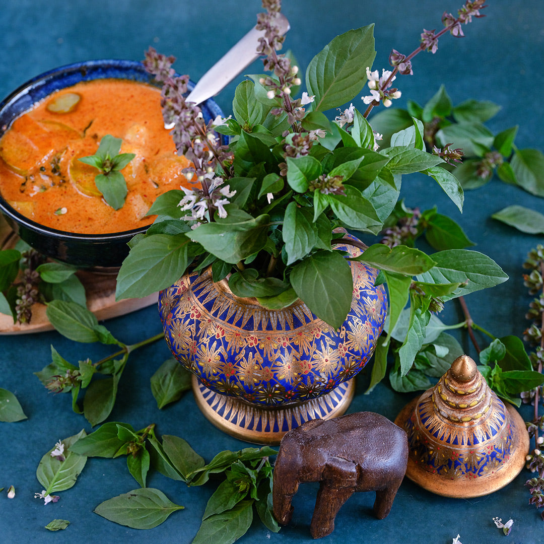 Thai Sweet Basil with Thai Red curry and some Thai style decoration on a blue background.