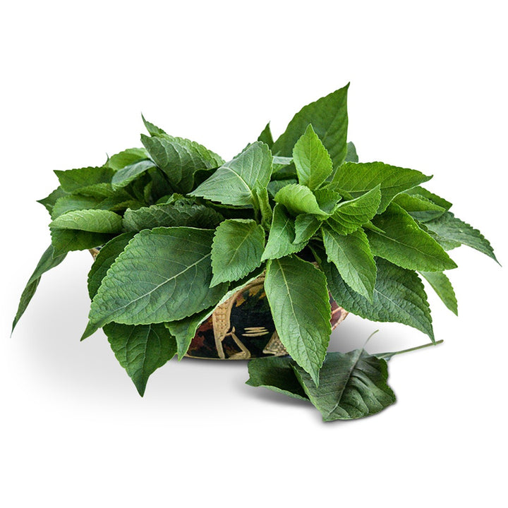 African Nunum Basil in a carved wooden bowl from Ghana on a white background.