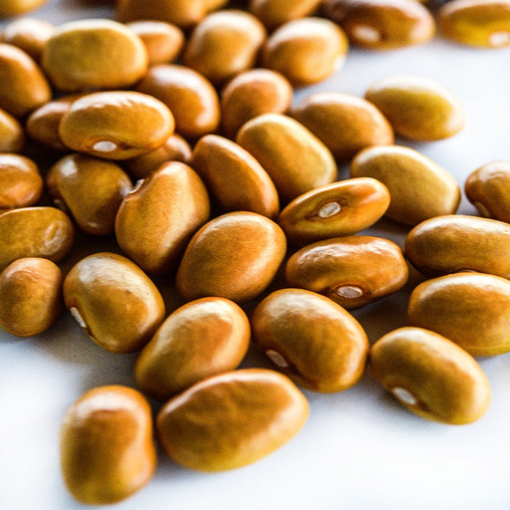 A close-up angle of dried Adventist Pole Beans on a white background.