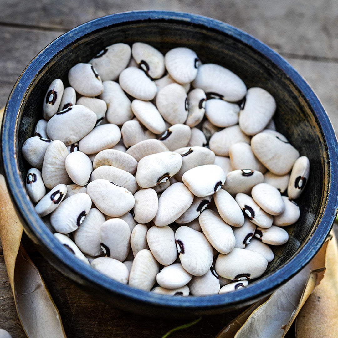 A bowl of Alabama Blackeyed Butterbean Lima Beans in a ceramic bowl.