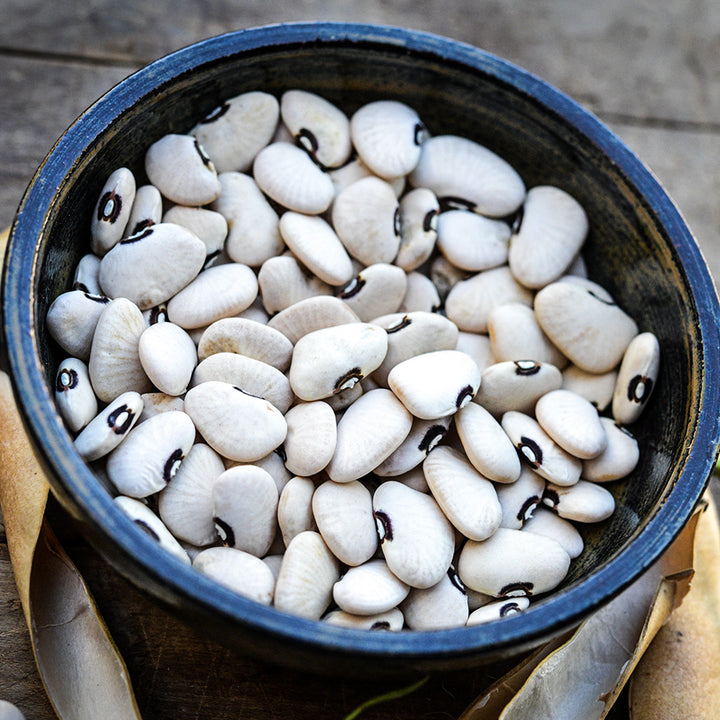 A bowl of Alabama Blackeyed Butterbean Lima Beans in a ceramic bowl.