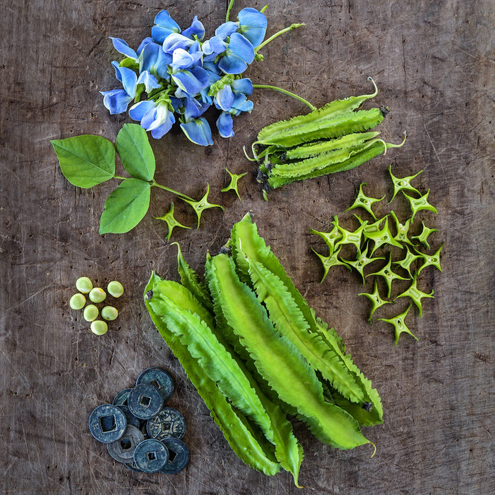 Sliced and whole Urizun Japanese Winged Beans with blue blooms on a wooden background.