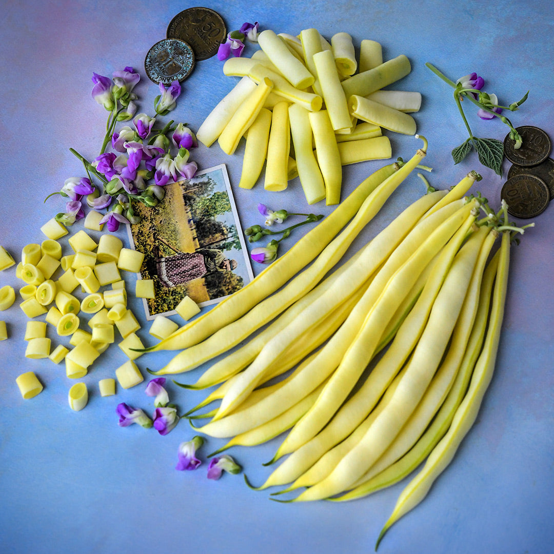 Chopped, cut and whole Beurre De Rocquencourt Beans with French props on bright blue background.