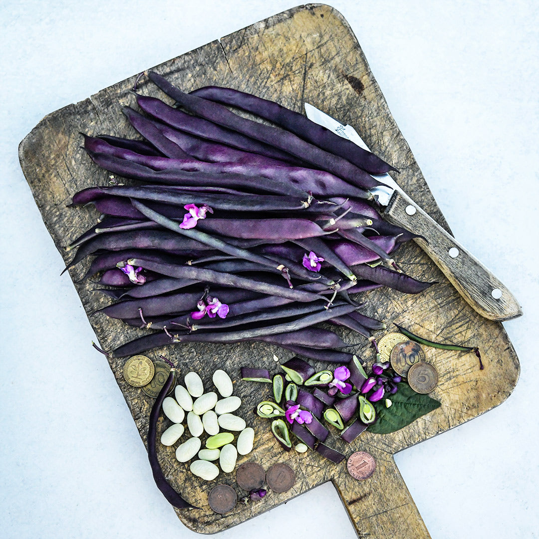 Cut and whole Blauhilde Beans on a cutting board with a knife on a grey background.