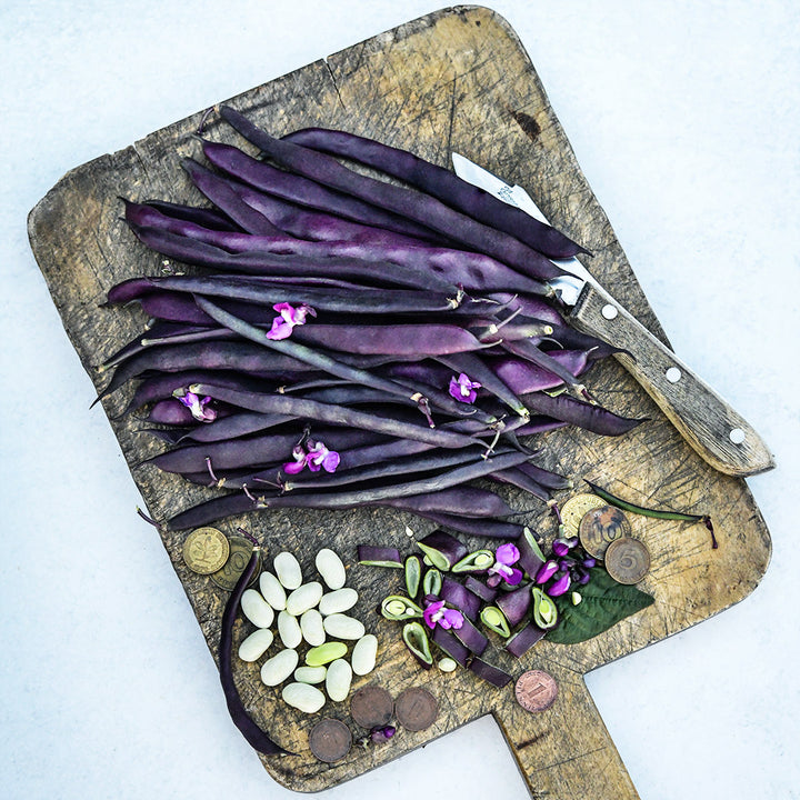 Cut and whole Blauhilde Beans on a cutting board with a knife on a grey background.
