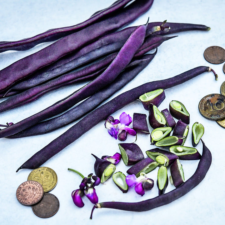 Cut and whole Blauhilde Beans arranged with blooms and coins on a light background.