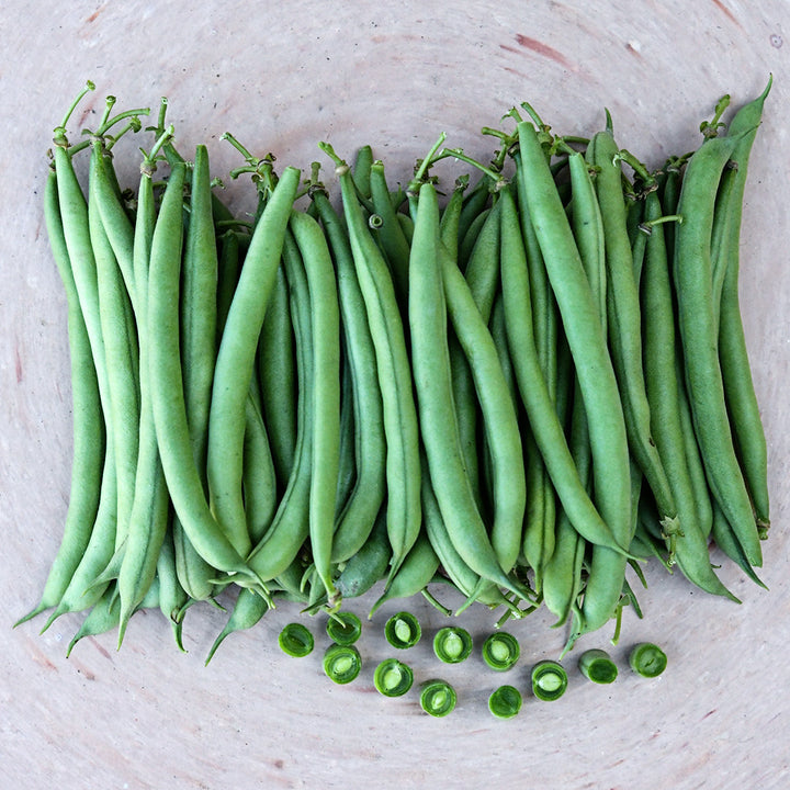 Whole and cut Cantare Beans in a pile on terra cotta pizza plate.