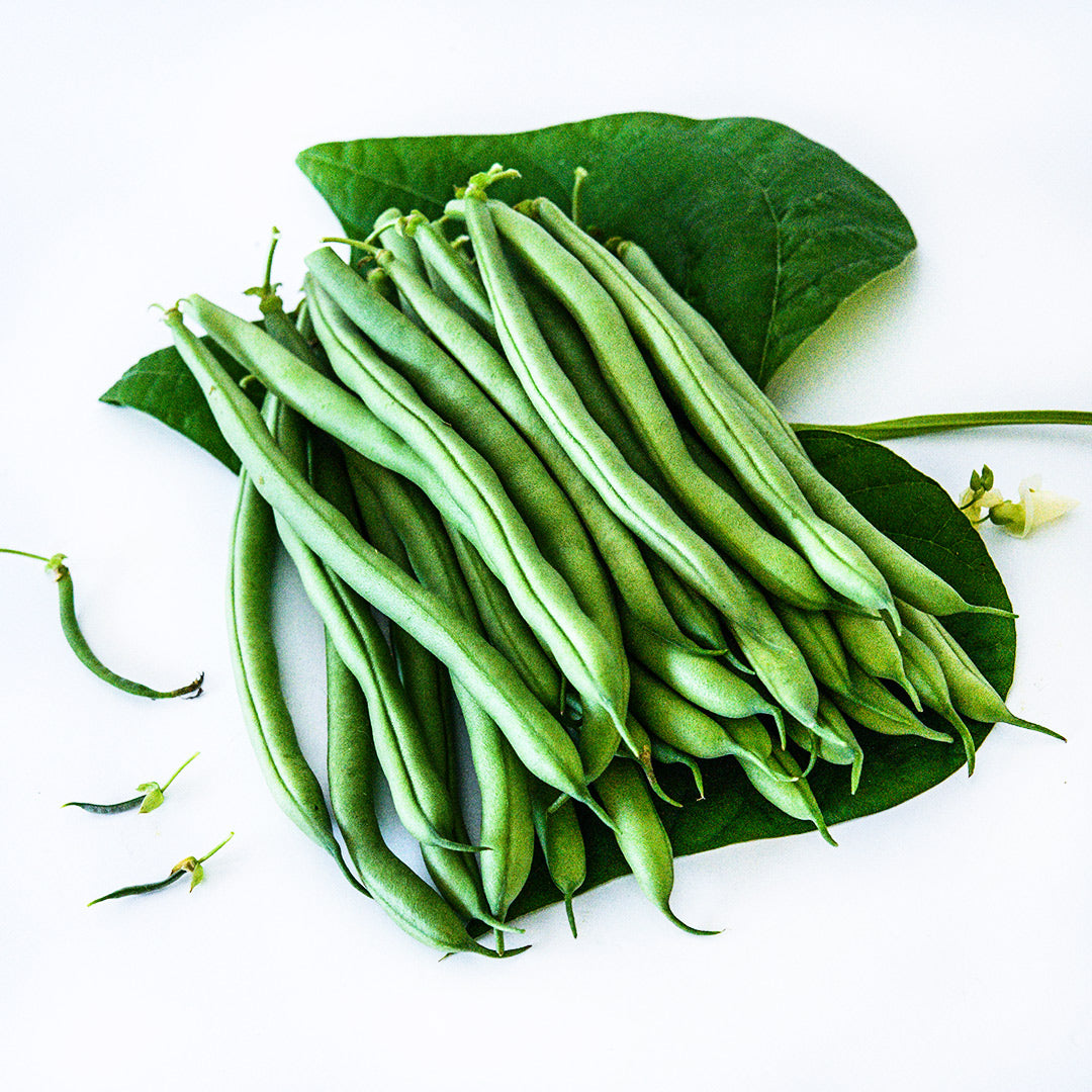 Whole Derby Bush Beans stacked up on some foliage on a white background.