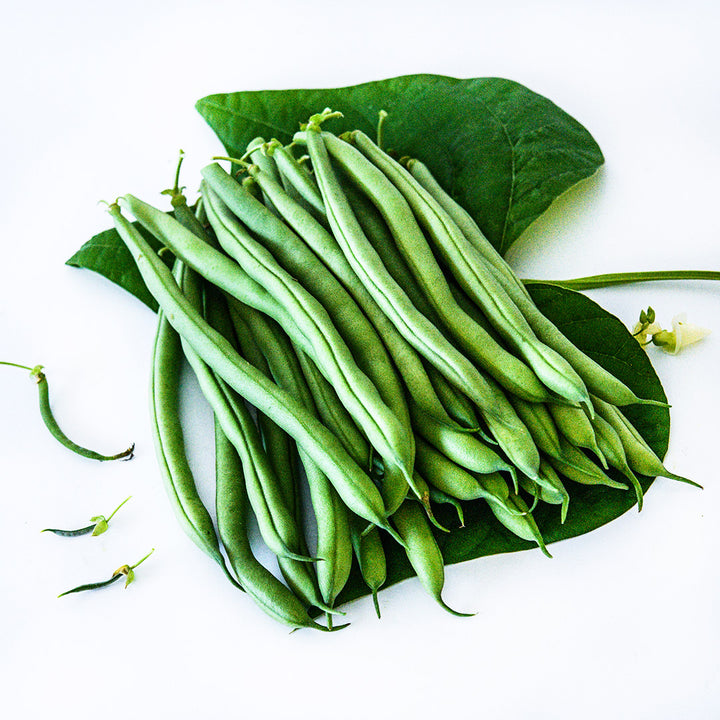 Whole Derby Bush Beans stacked up on some foliage on a white background.
