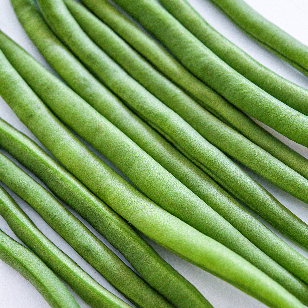A close-up view of Jade Bush Beans on white.