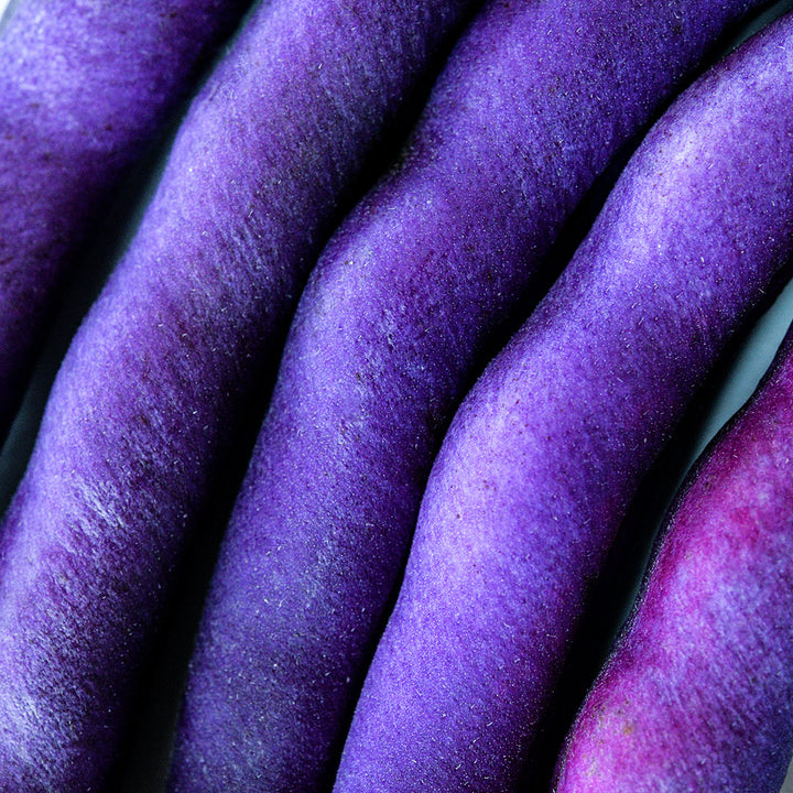 An extreme macro close-up of Purple Dove Bush Beans.