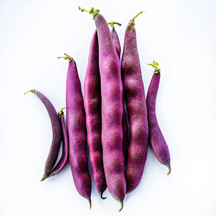 A handful of Red Swan Beans on a white background.