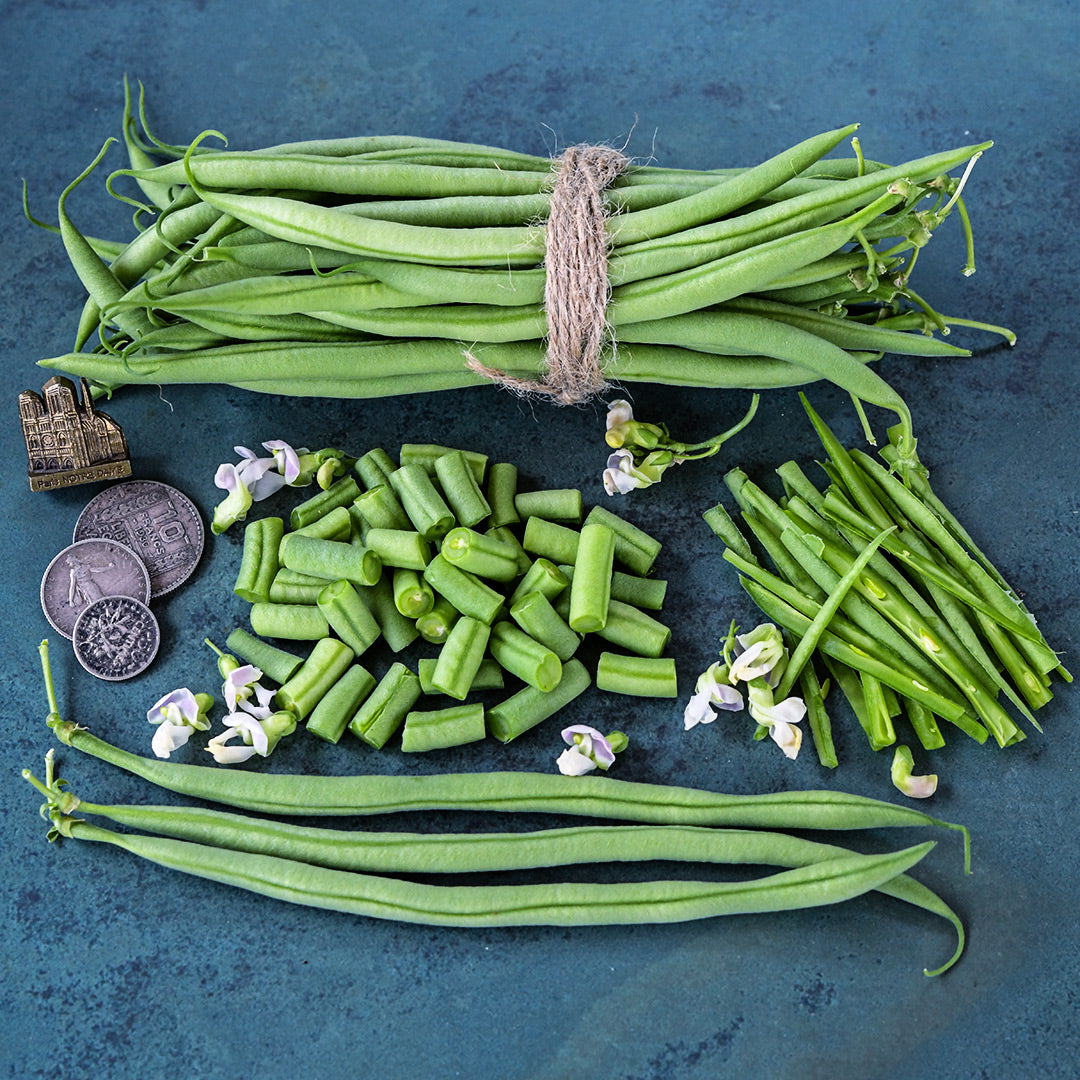 Bundled Calima Beans tied with jute with cut and sliced beans and props from France on a jade background.