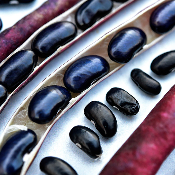 A close-up of Cherokee Trail of Tears Beans arranged on a white background.