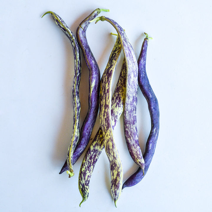 A half dozen Dragon Tongue Beans arranged on a white background.