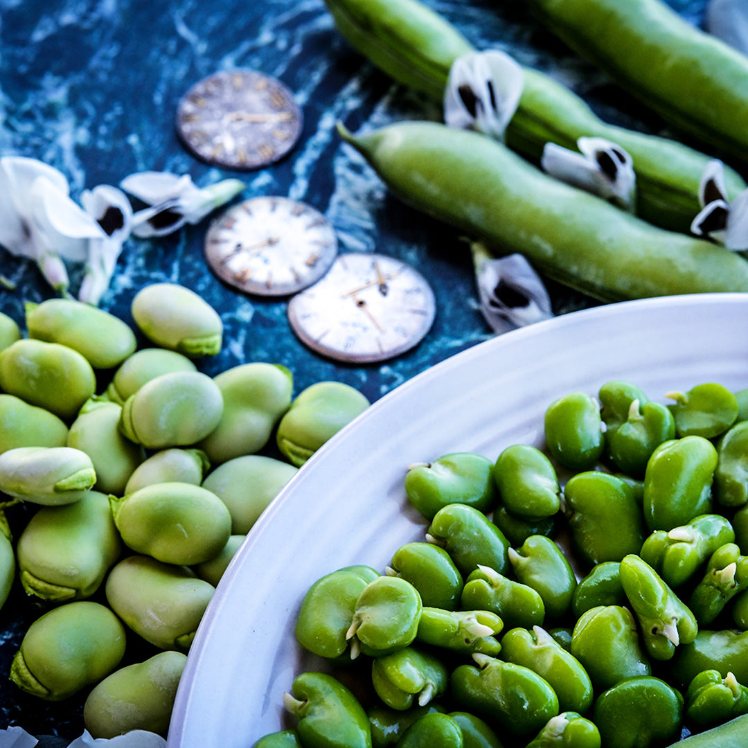 Cooked and raw Broad Windsor Fava Beans on a blue and white marbled background.