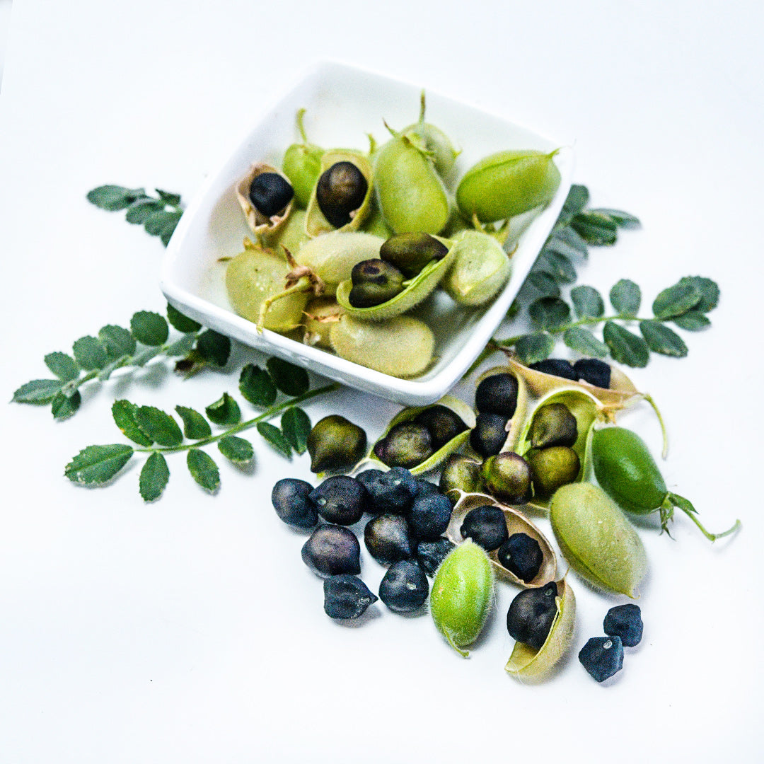 Shelled and unshelled Kabouli Black Garbanzo Beans in a bowl with foliage on white.