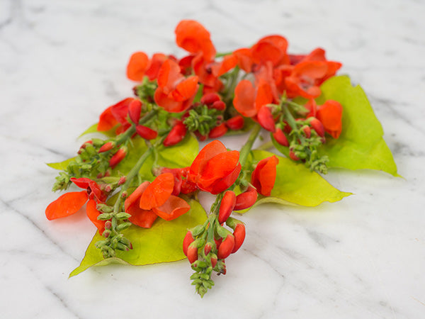 Runner Bean Seeds, Golden Sunshine