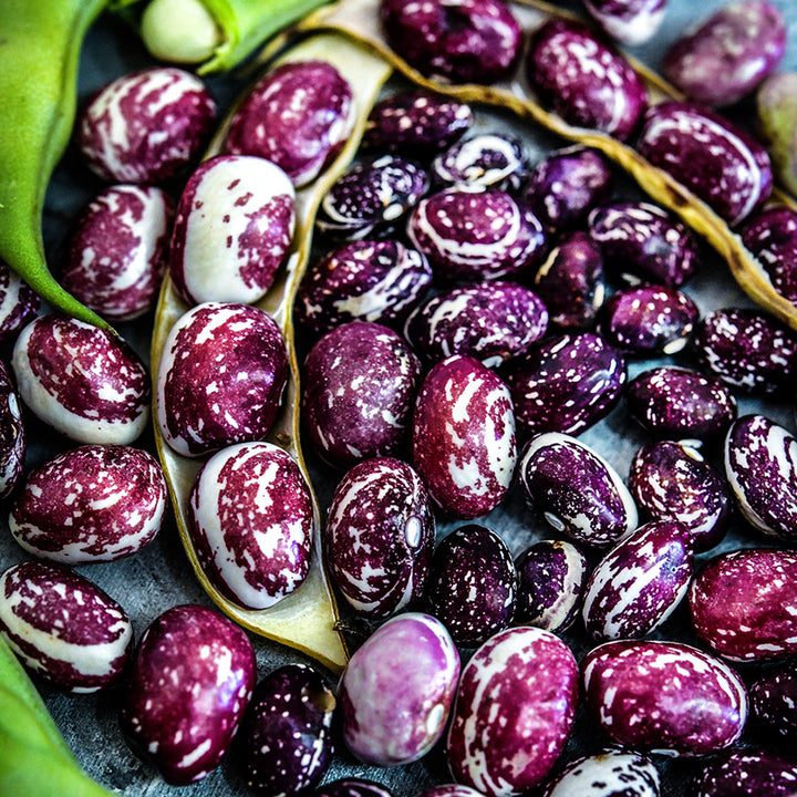 A detailed macro view of Good Mother Stallard Beans.