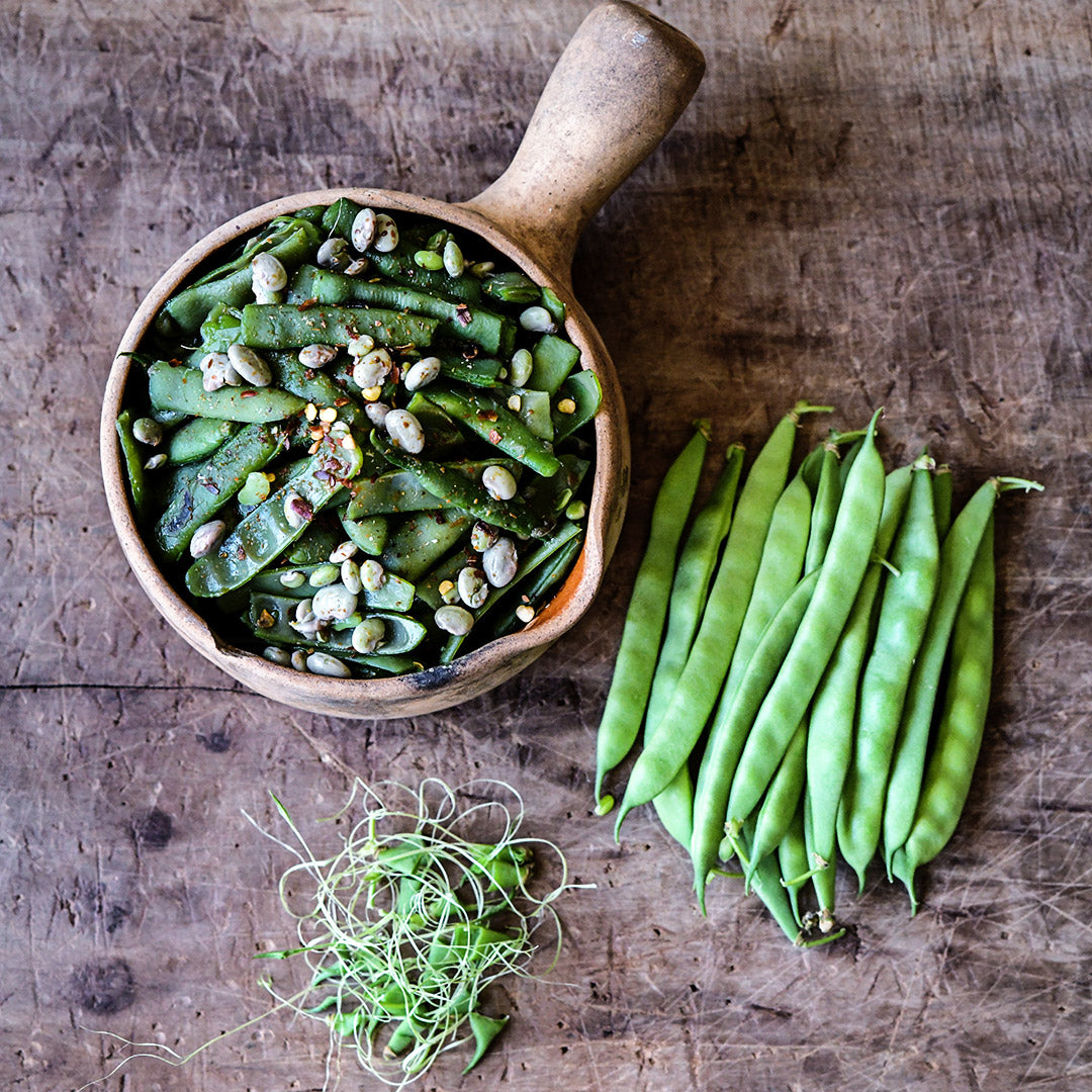A bowl of cooked Greasy Grits Beans with a pile of fresh beans on a wooden background.