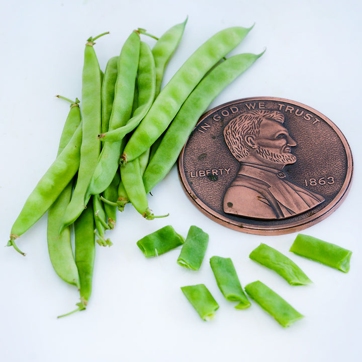 Cut and whole Greasy Grits Beans with a giant penny replica on a white background.