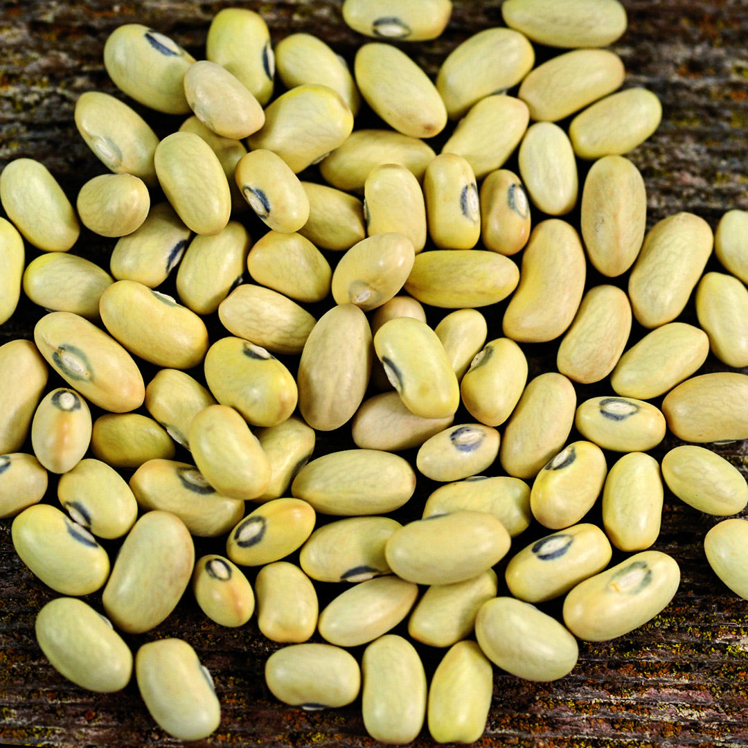 A pile of Hutterite Soup Bush Beans on a wooden background.