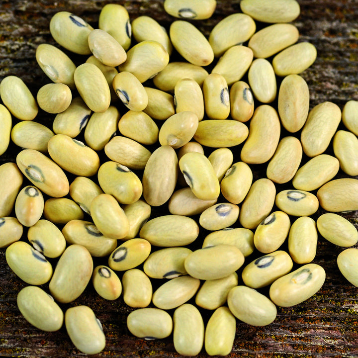 A pile of Hutterite Soup Bush Beans on a wooden background.