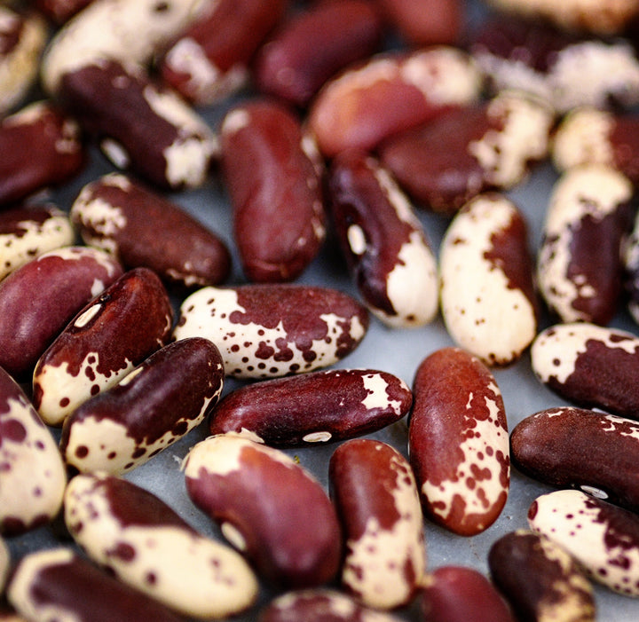 A close-up of Jacob's Cattle Beans on a white marble background.