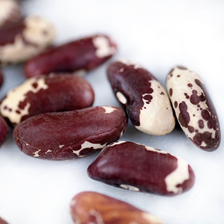 Extreme micro view of several Jacob's Cattle Beans on a white marble background.