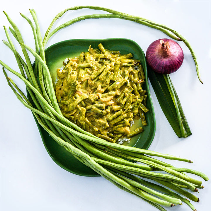 Taiwan Yard-Long Bean Sri Lankan Curry on green plate with fresh long beans on a white background.