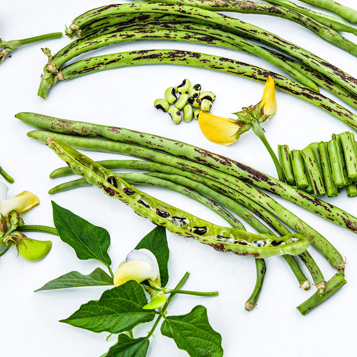 Sliced and whole Thai Soldier Long Beans with flowers on white background.