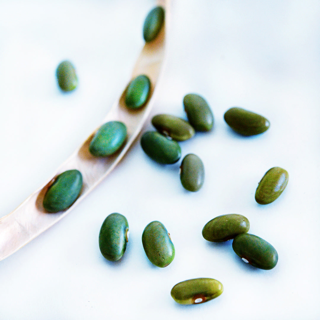Mbombo Green Beans in a dried pod and randomly arranged on a white background.