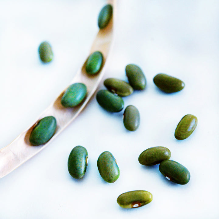 Mbombo Green Beans in a dried pod and randomly arranged on a white background.