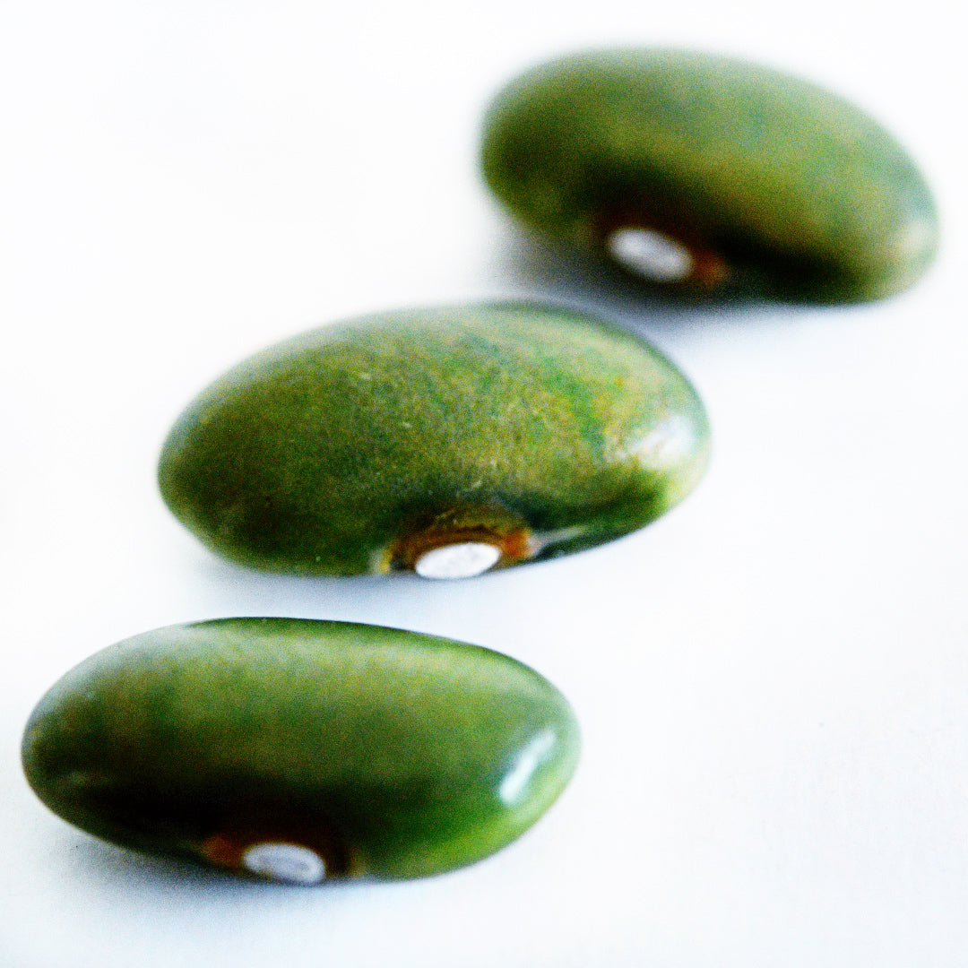 A macro narrow depth of field angle of a trio of Mbombo Green beans on a white background.