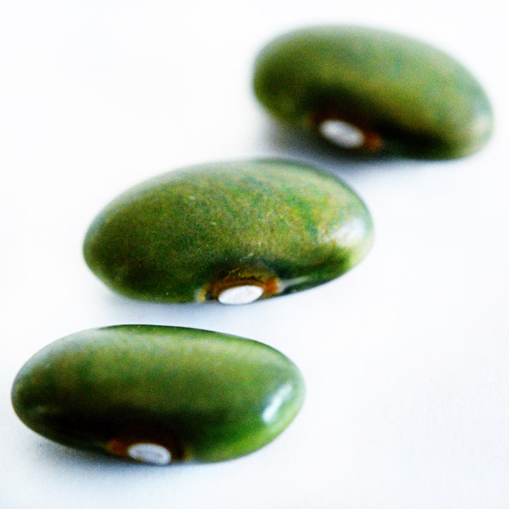 A macro narrow depth of field angle of a trio of Mbombo Green beans on a white background.